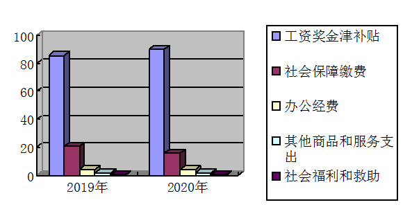 2020年部门综合预算说明(图5)